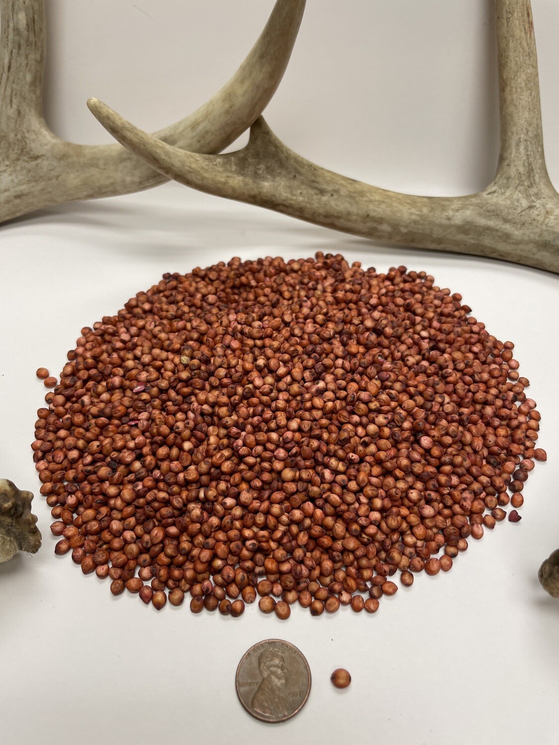 Screen Food Plot Seed Pulaski Warehouse Inc.