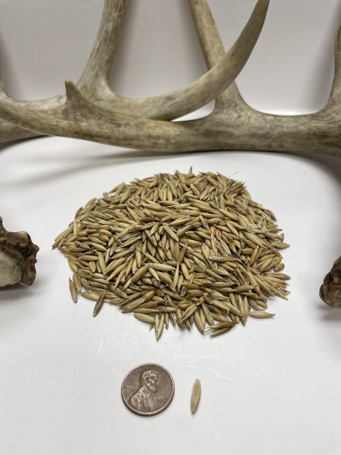 Buck Forage Deer Oats Food Plot Seed Pulaski Warehouse Inc.