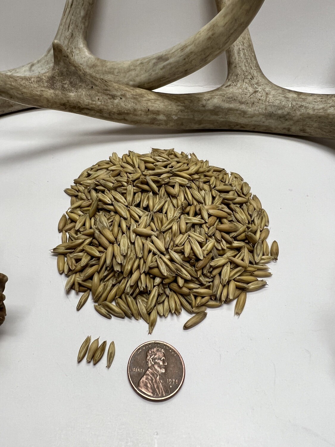 Jerry Oats Food Plot Seed Pulaski Warehouse Inc.