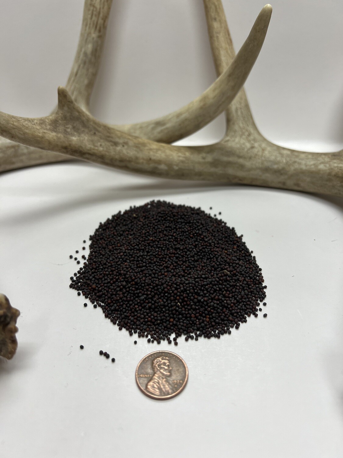 Seven Top Turnips Food Plot Seed Pulaski Warehouse Inc.