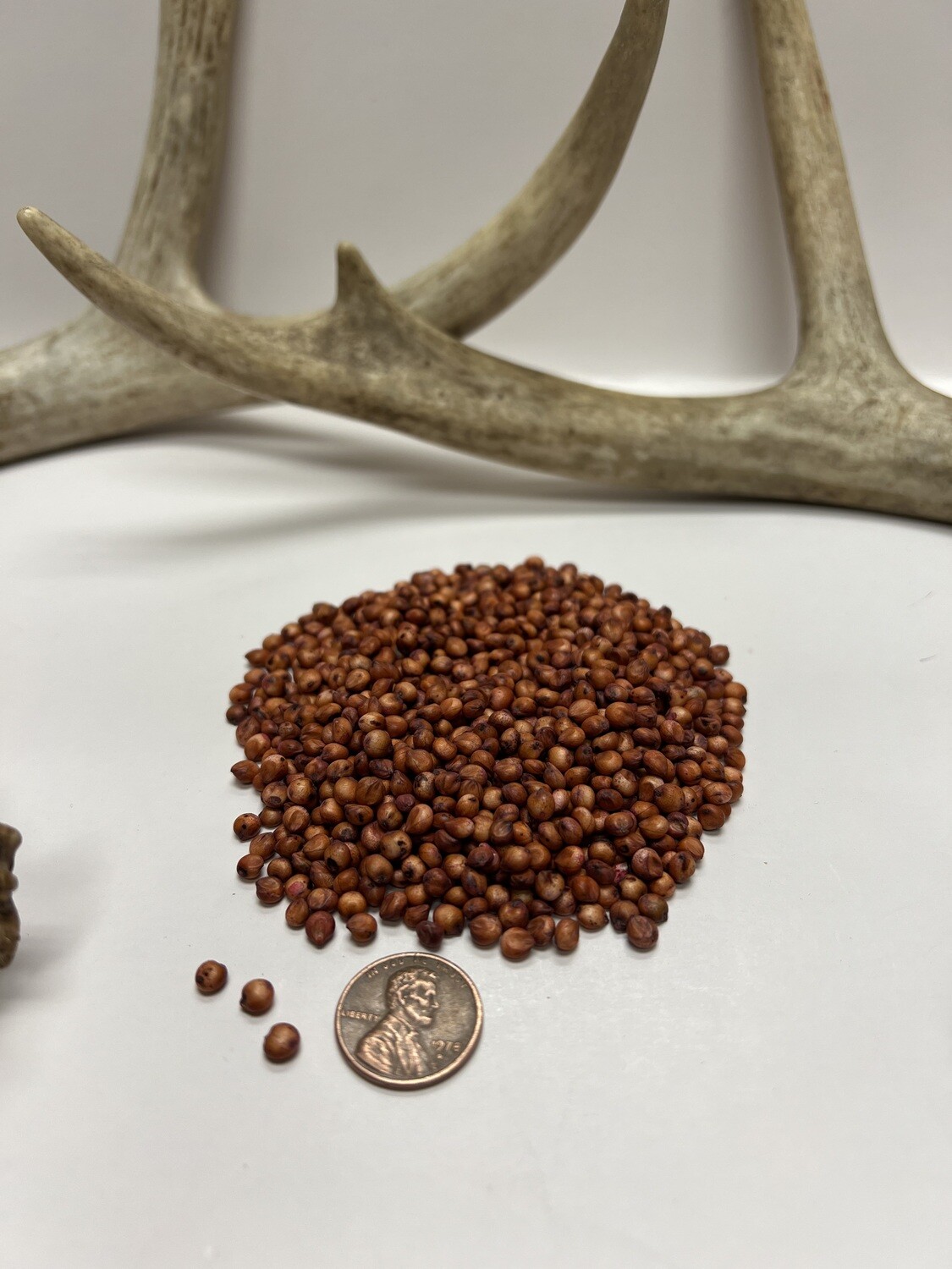 Game Food Food Plot Seed Pulaski Warehouse Inc.