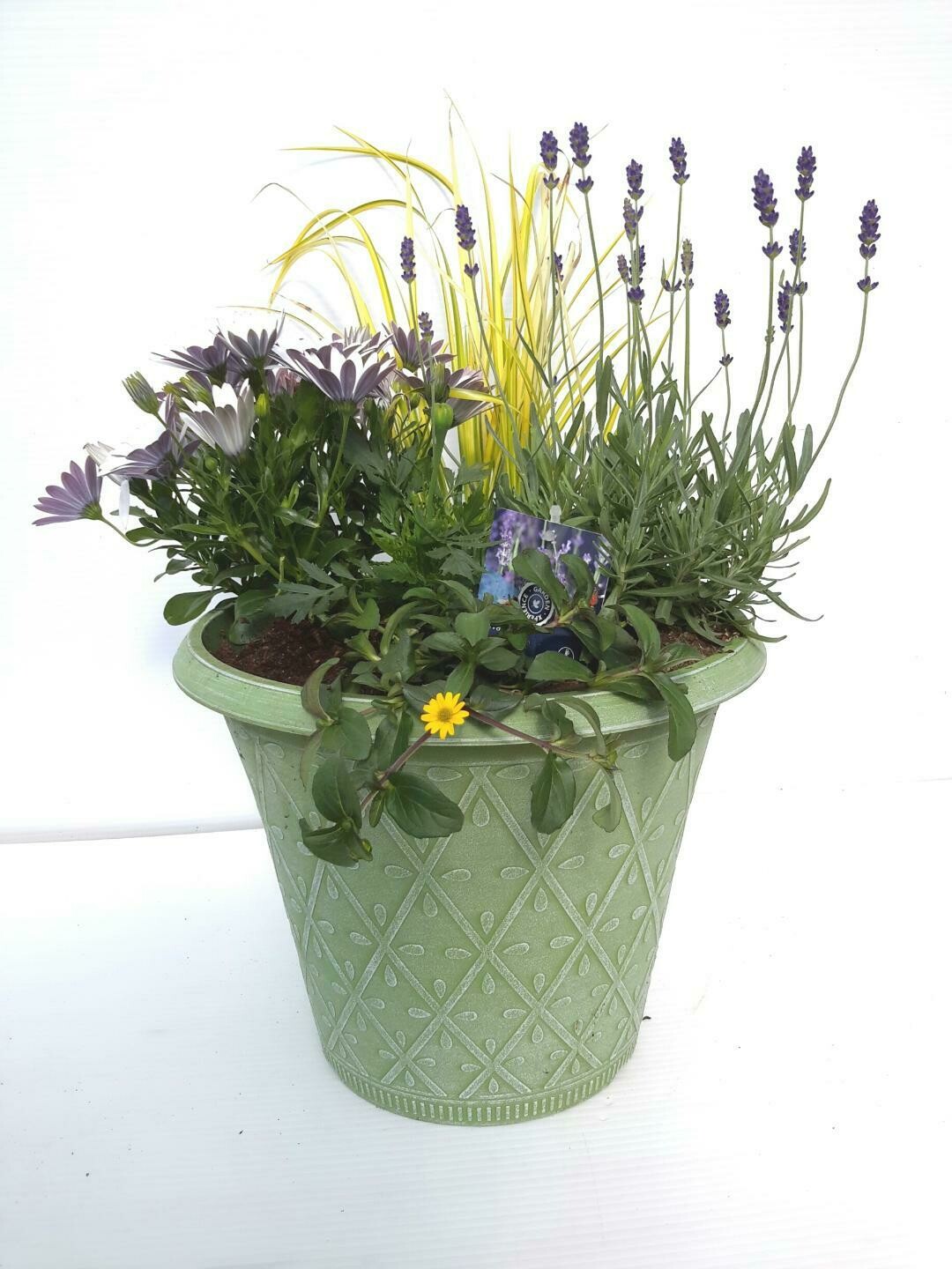 Green planter