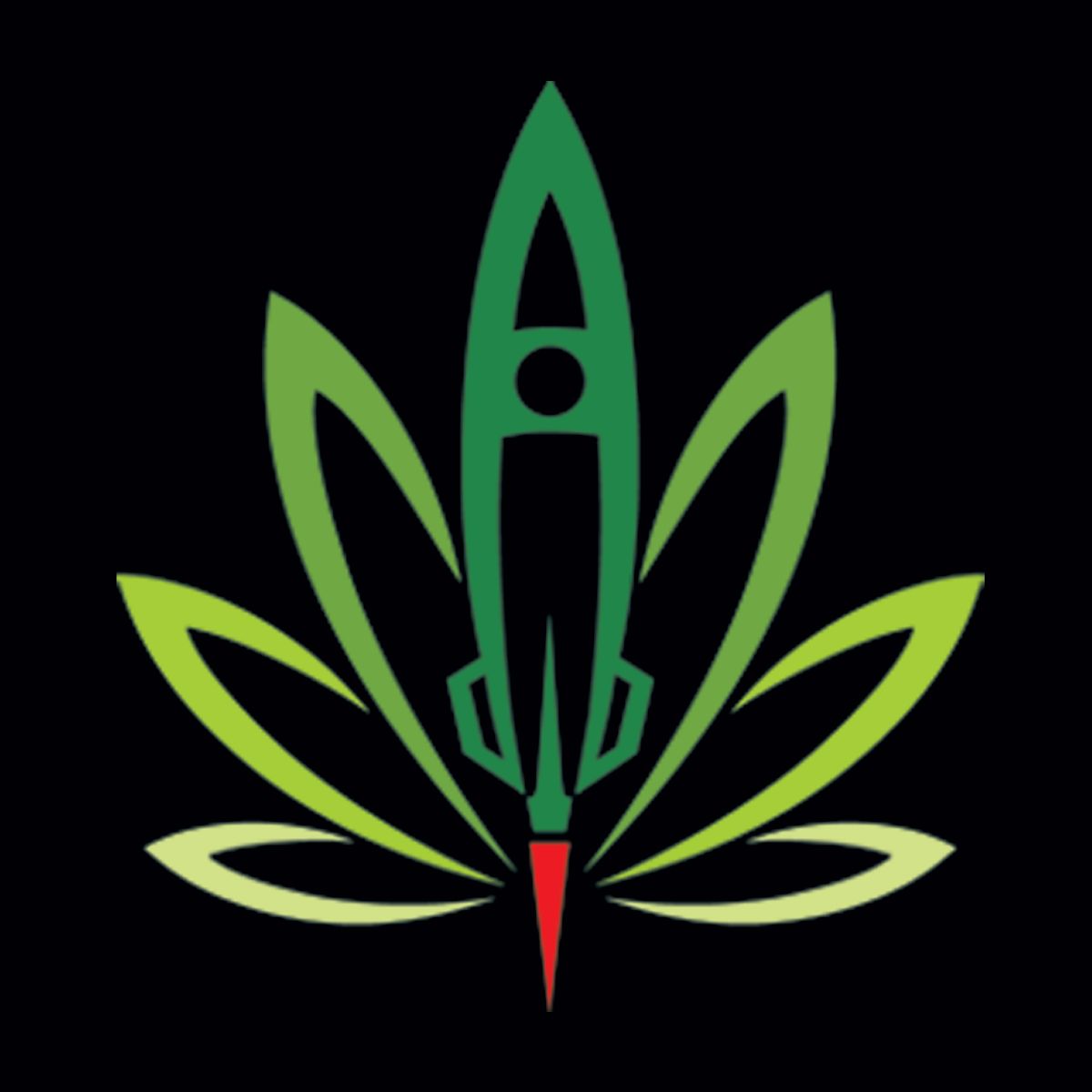 Game Changer (Premium) Indica