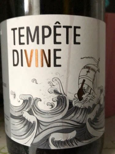 Dupond Tempete Divine Brouilly