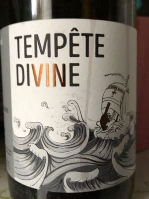 Dupond Tempete Divine Brouilly
