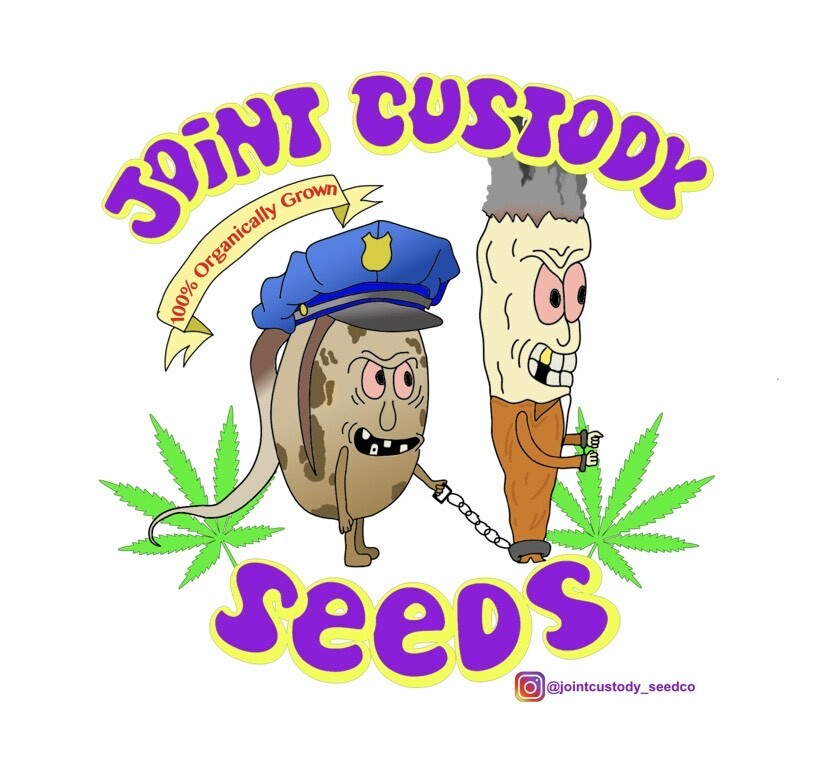 Joint Custody joint-custody