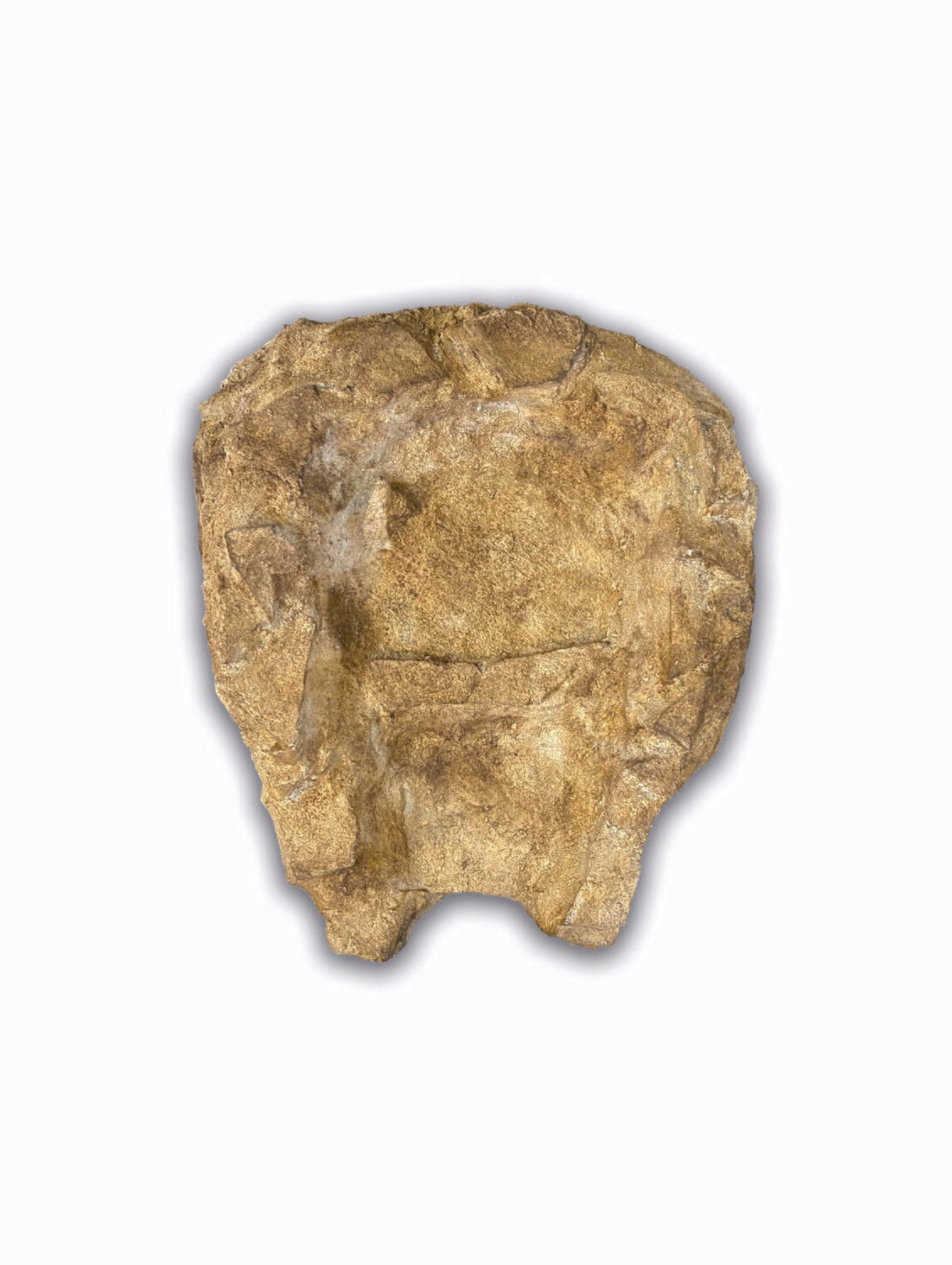 Bachlauf CANYON KLEIN Fels