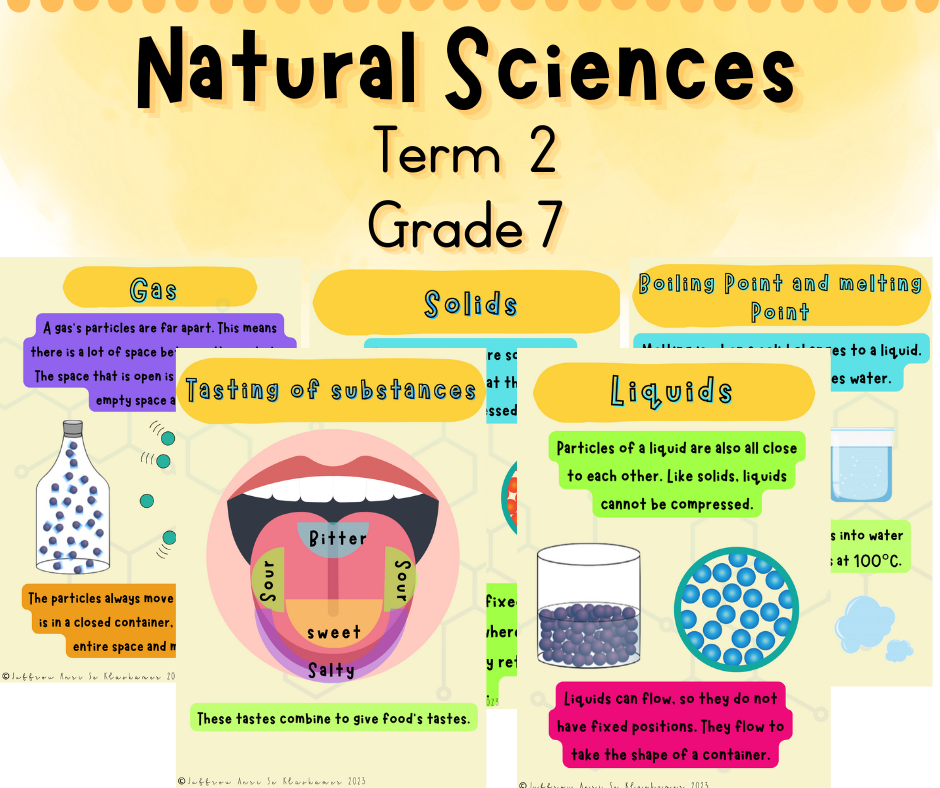 Grade 7 Natural Sciences term 2 posters