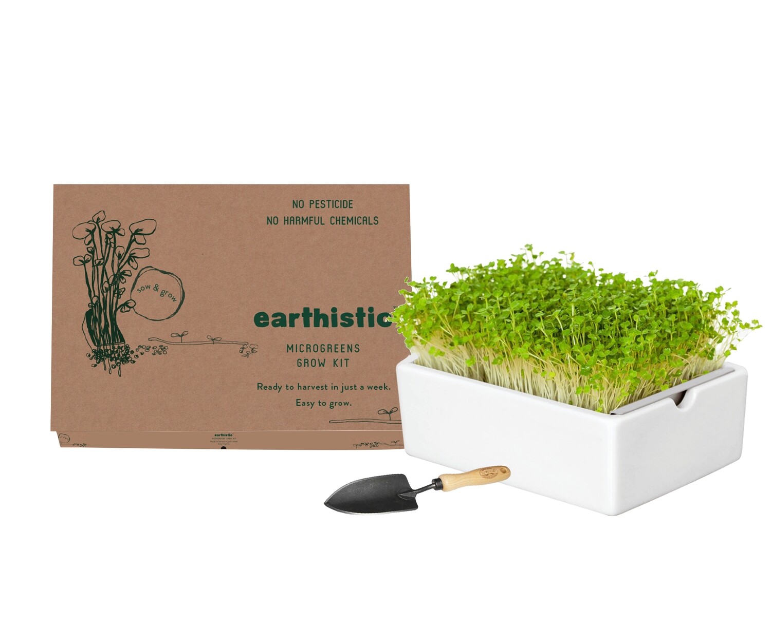 TURNIP MICROGREENS GROW KIT