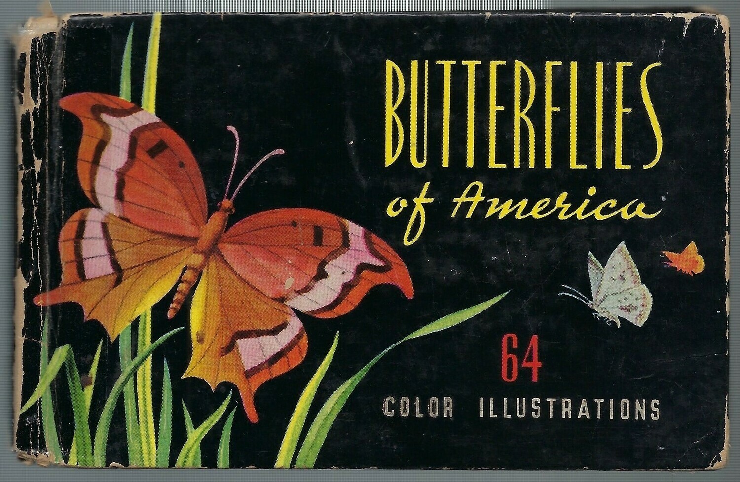 Mini Butterfly Book 1948 Instant Download 10 Pages