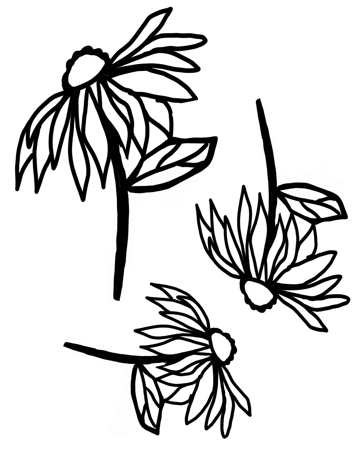 Cone Flowers with masks stencil 8x10