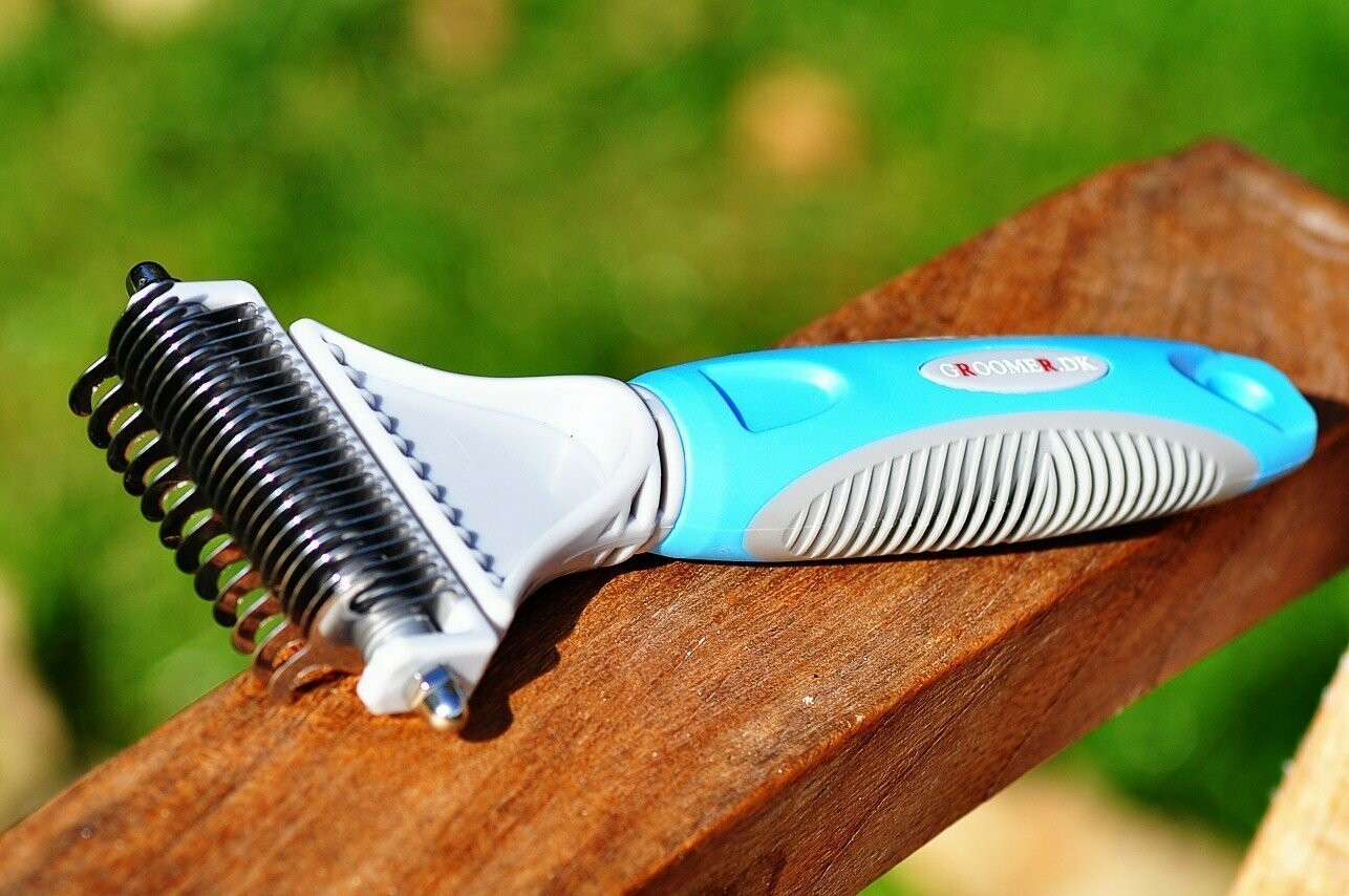 Одежда для близнецов малышей. Брат близнец короля. The king twins. King twins. King twins.