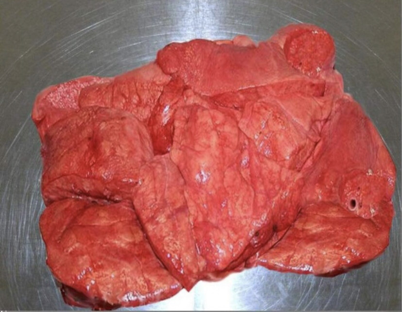 Рецепт 1. Вареное говяжье легкое