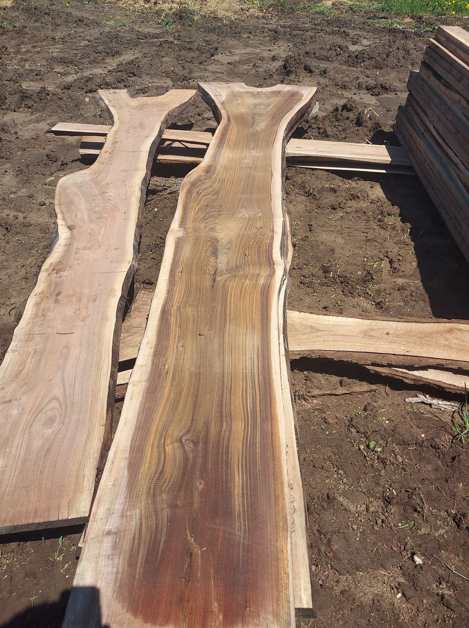 Lumber (Local Orders)