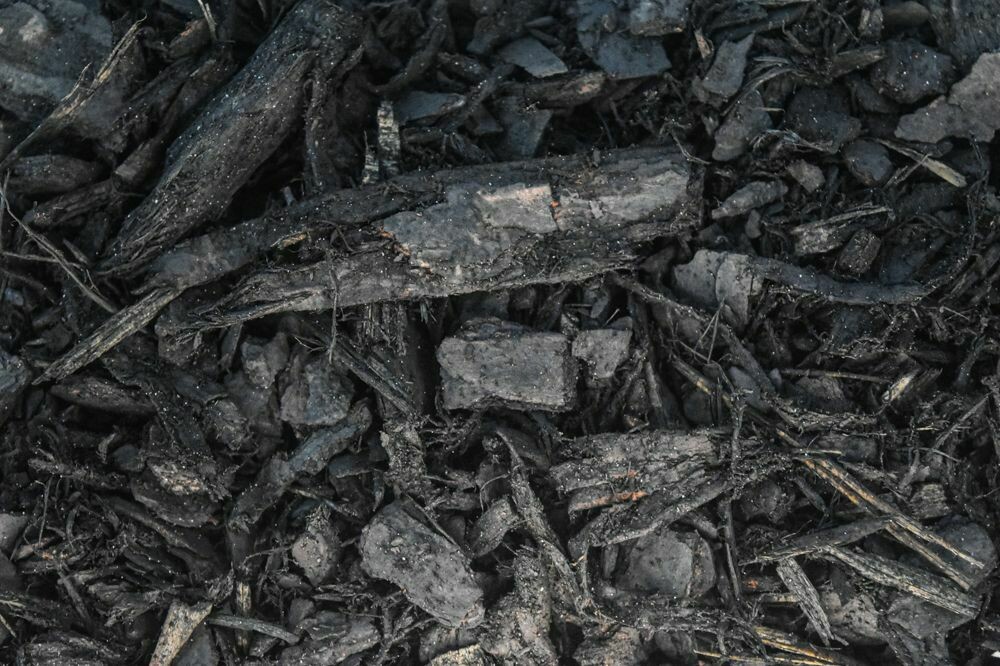Black Licorice Mulch in Chapin, SC.