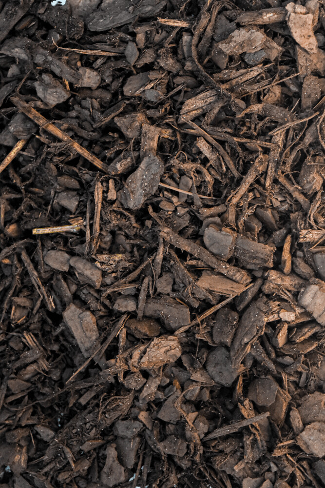 Cocoa Brown Mulch Chapin, SC.