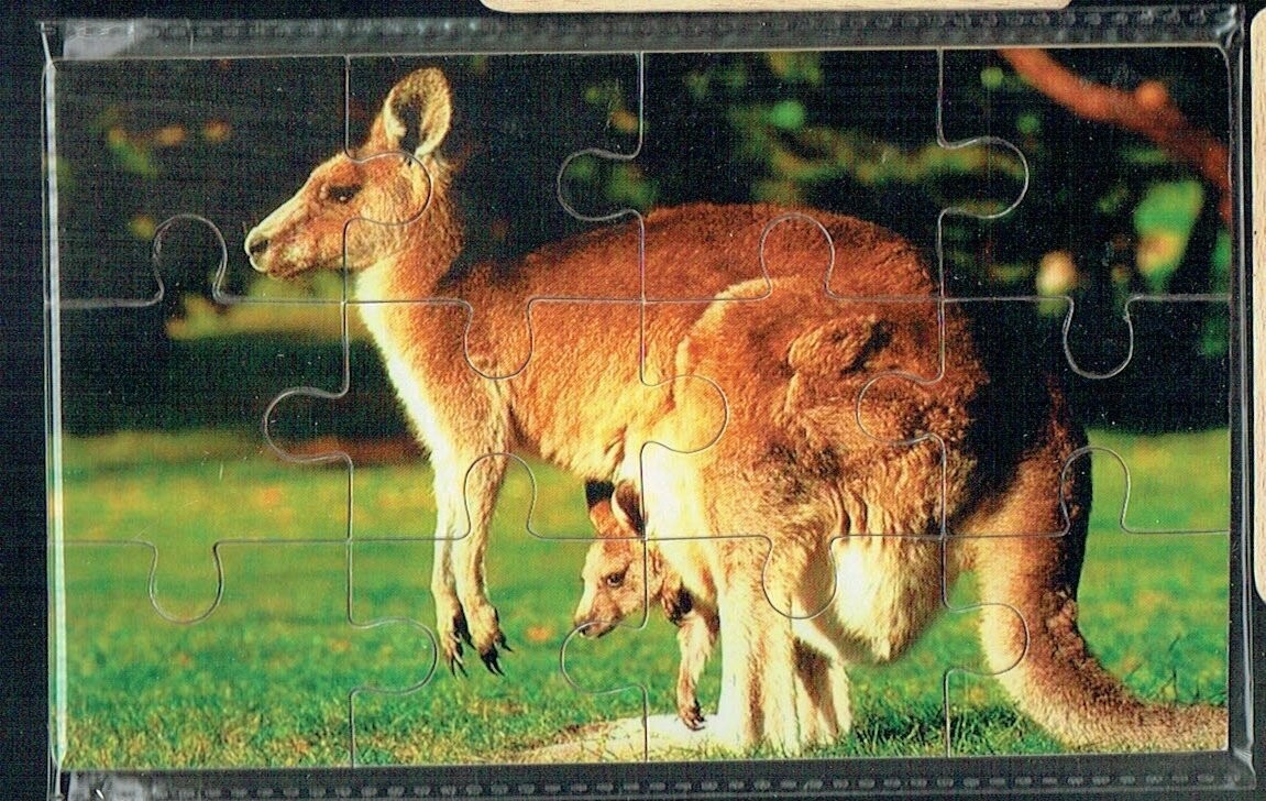 Puzzle Kao Le Kangourou 160 Pièces – Édition Euro – Neuf Sous Blister