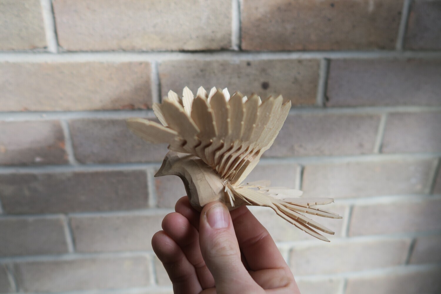 Soft wood fan bird