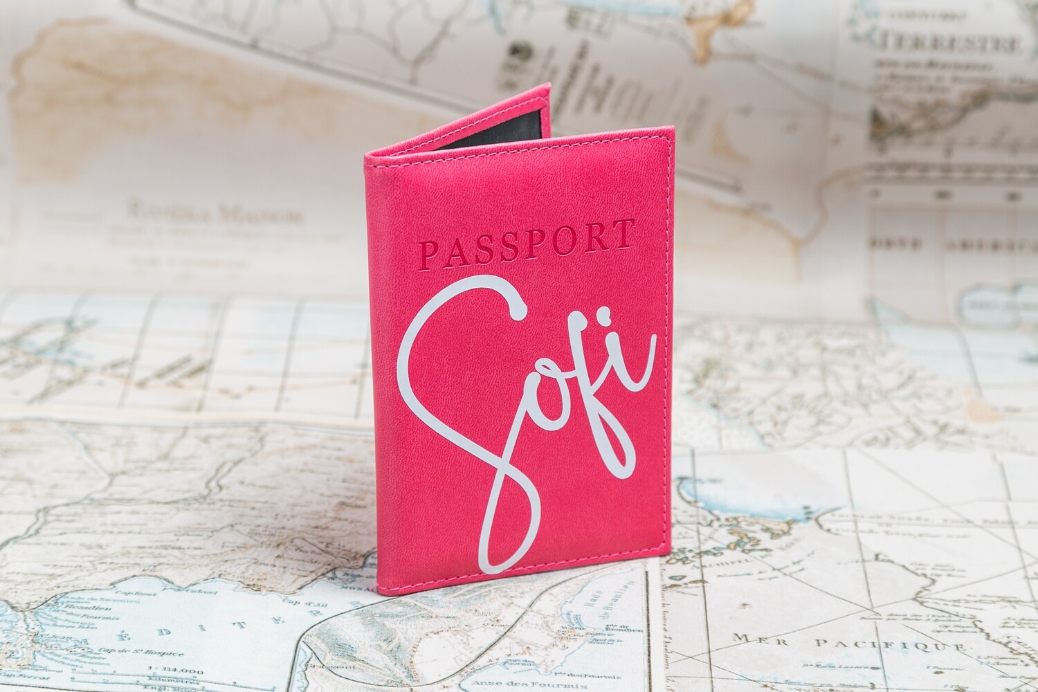 Fundas para pasaporte y visa vinipiel