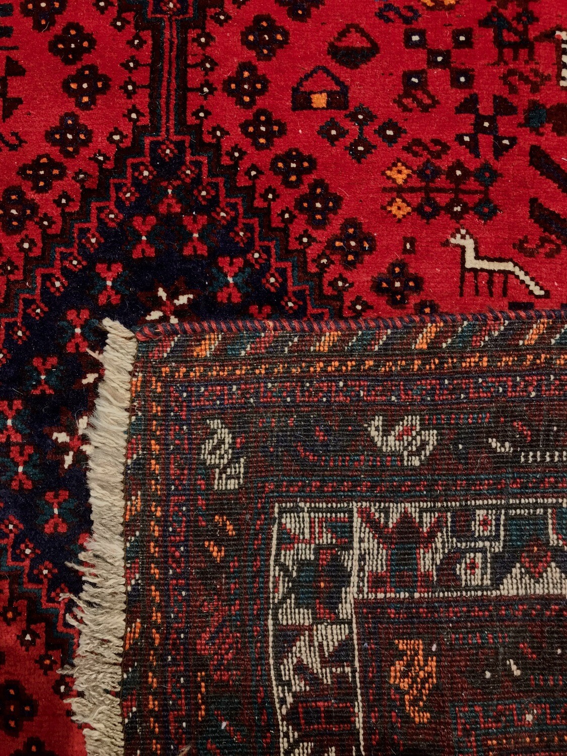 Traditional, Tribal 8 x 10 Rug Rug Sales Minneapolis MN American