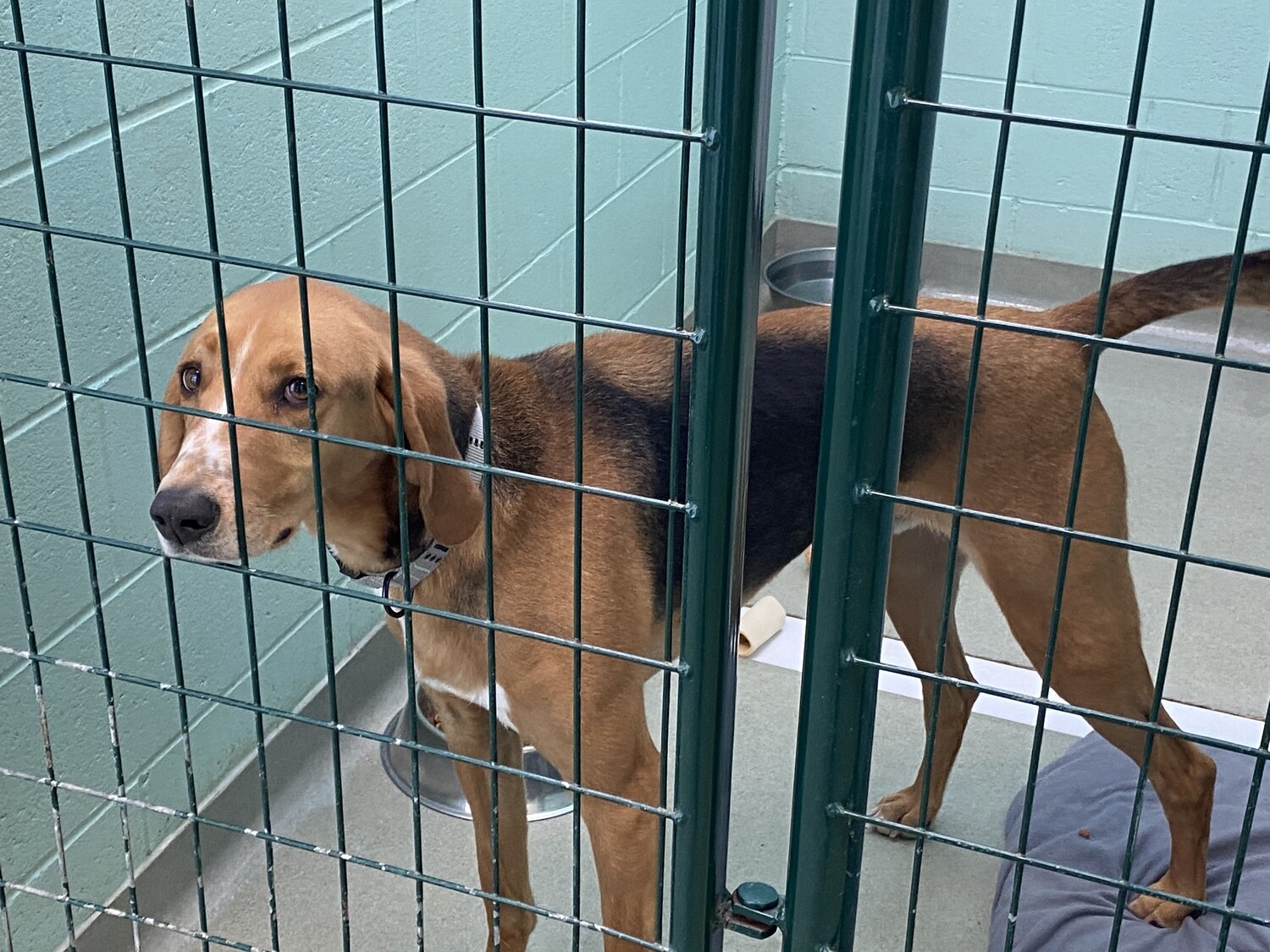 Redemption and Surrender Fees