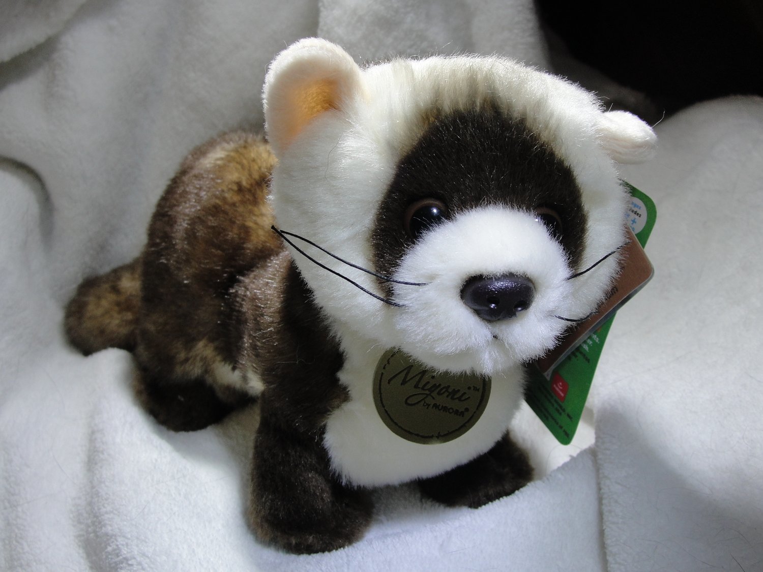 Aurora Miyoni Black Footed Ferret Plush Ferret Treasures Store Ferret Association of Connecticut