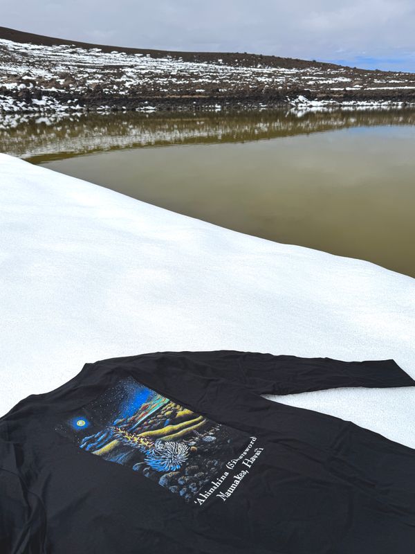 Silversword Long Sleeve T-Shirt.