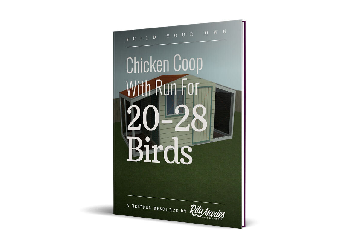 Chicken Coop Plans Large Chicken Coops