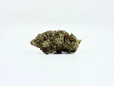 THCA - Top Shelf Flower - Bruce Banner