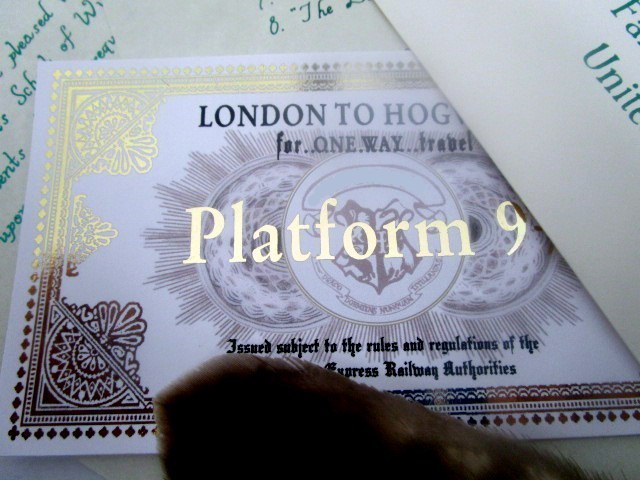 Harry Potter Hogwarts Express Train Ticket – Store – Legendary Letters