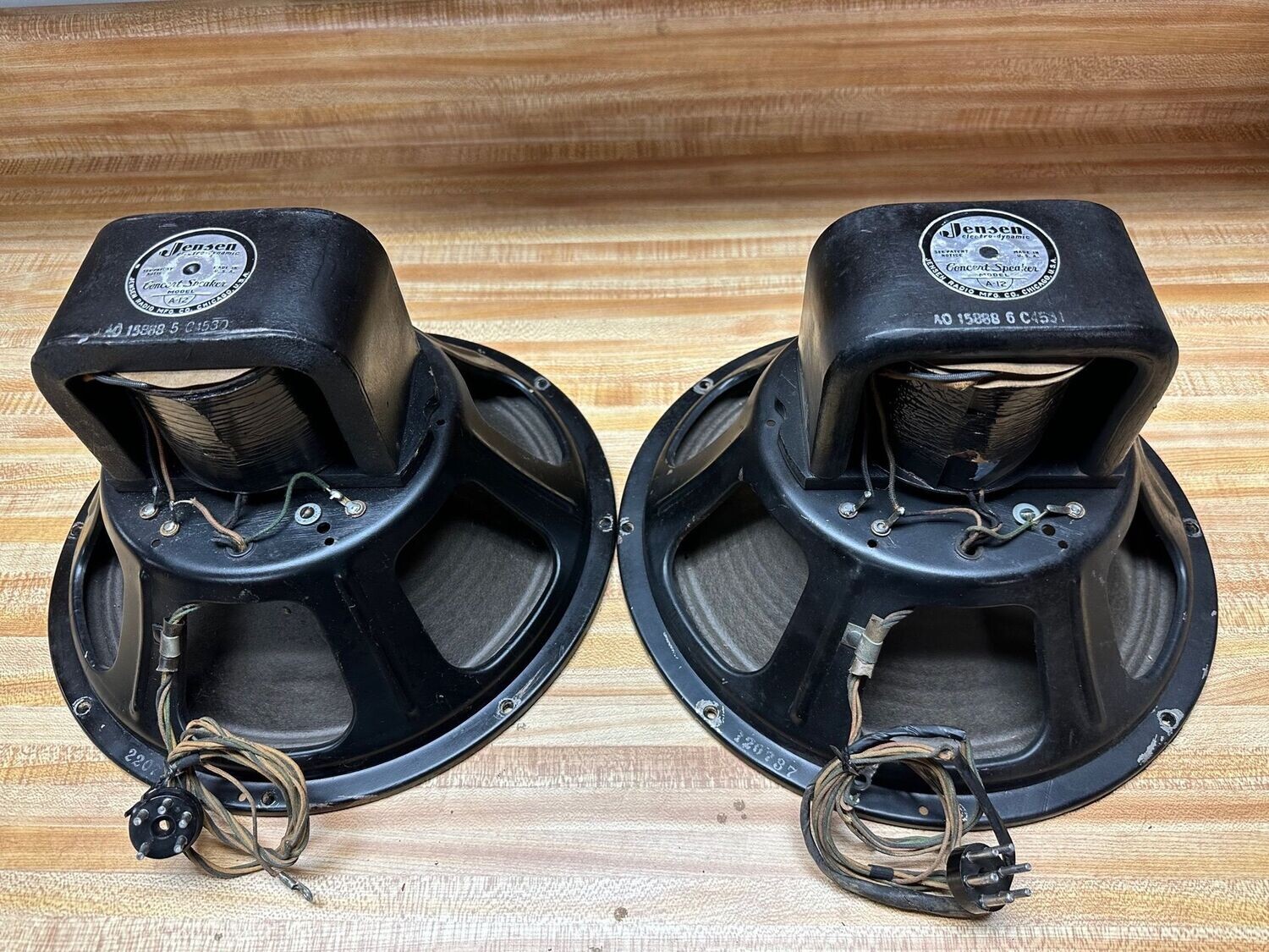 Jensen Field Coil Concert Speakers A12 (Pair) with Power Amp