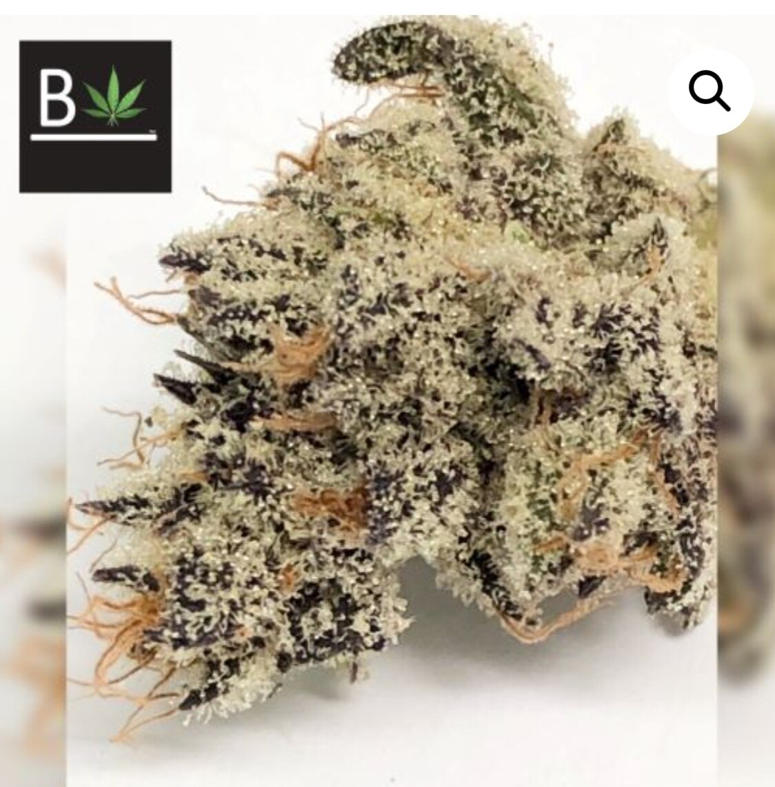 Beleaf Love White Truffle S1 Fem RESTOCK Pre Order