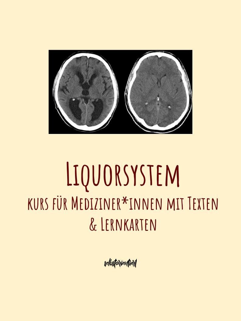 Liquorsystem Text & Lernkarten