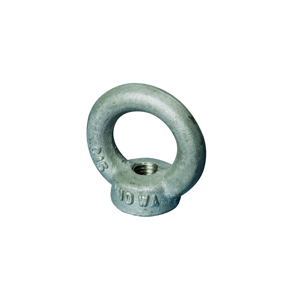 M20 Lifting Eye Nuts Din 582 Galvanised Online Shop Swiftfix