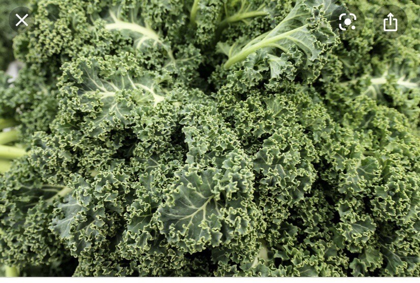 British Kale Per Bag