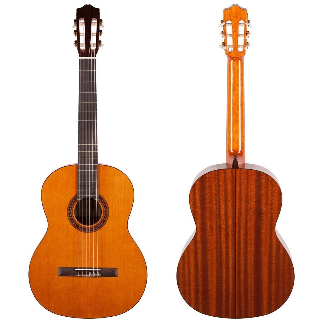 How much does a cordoba c5 cost, C5 Guitar