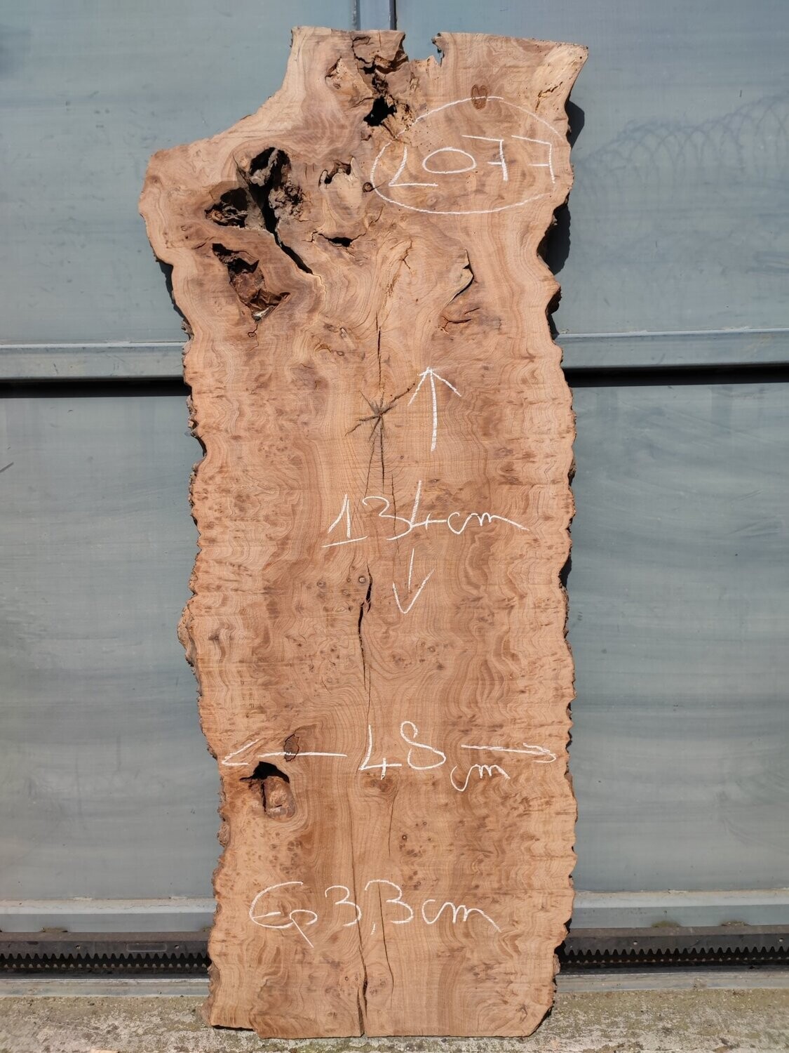 Plateau de loupe d'orme français live edge