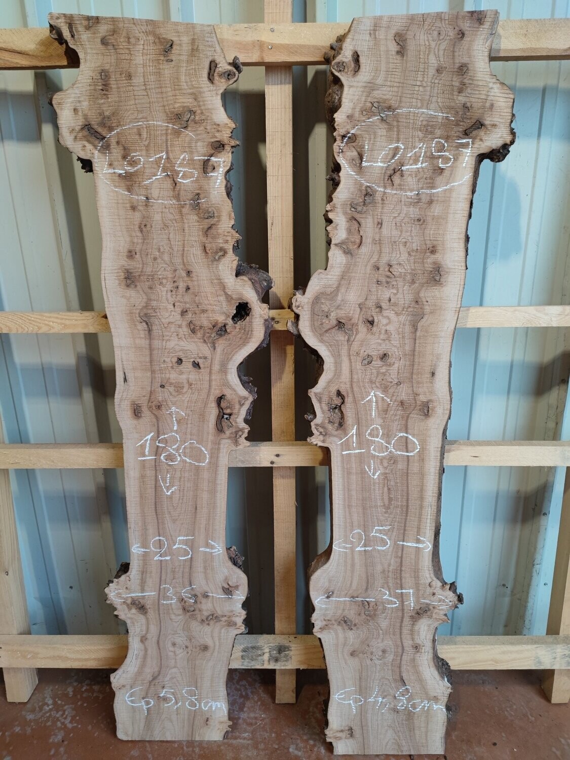 Lot de 2 plateaux de loupe d'orme bookmatch