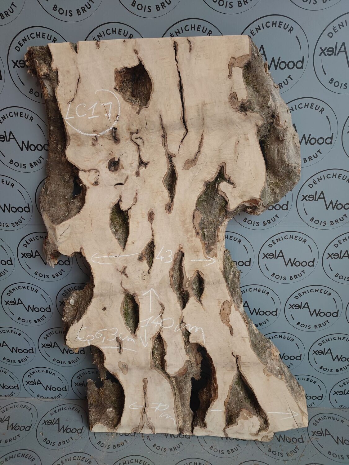 Rare plateau épais et large de loupe d'orme - LO309