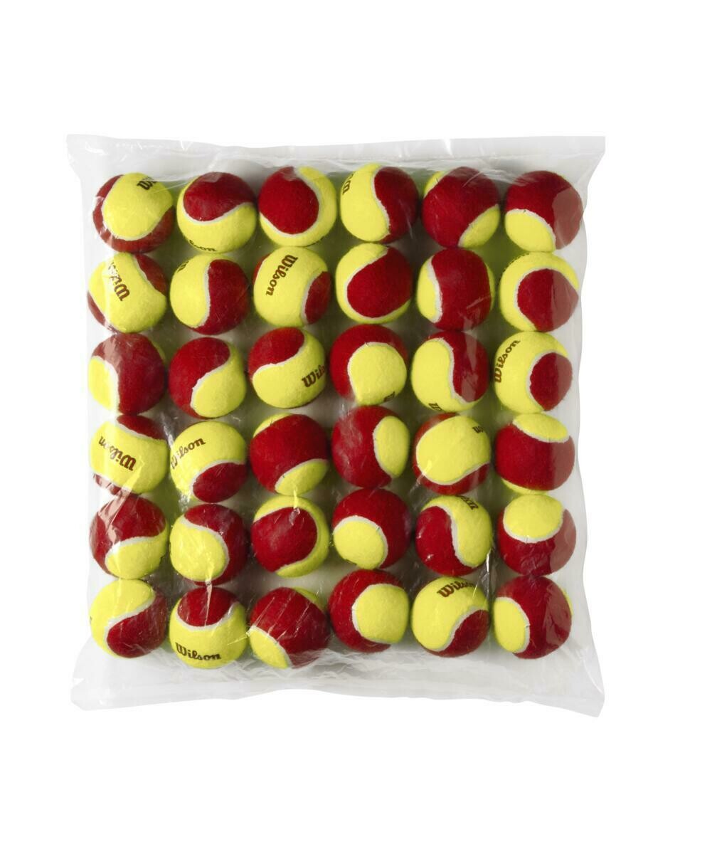 Wilson Starter Red Tennis Balls 12 Pack