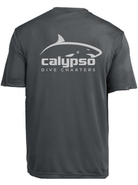 ONLINE STORE CALYPSO DIVE CHARTERS SCUBA DIVE CHARTERS SHARK