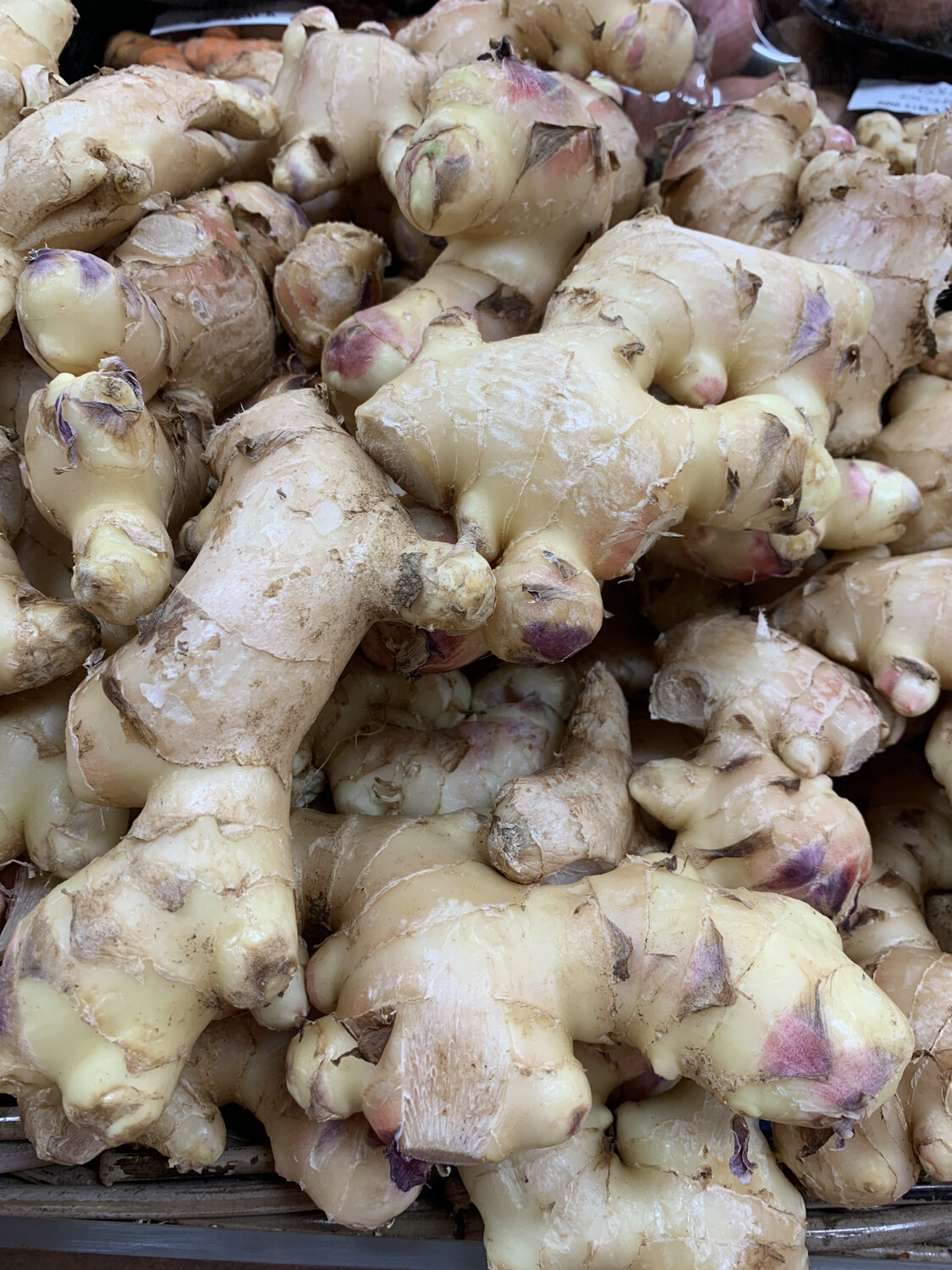 Ginger Piece Each