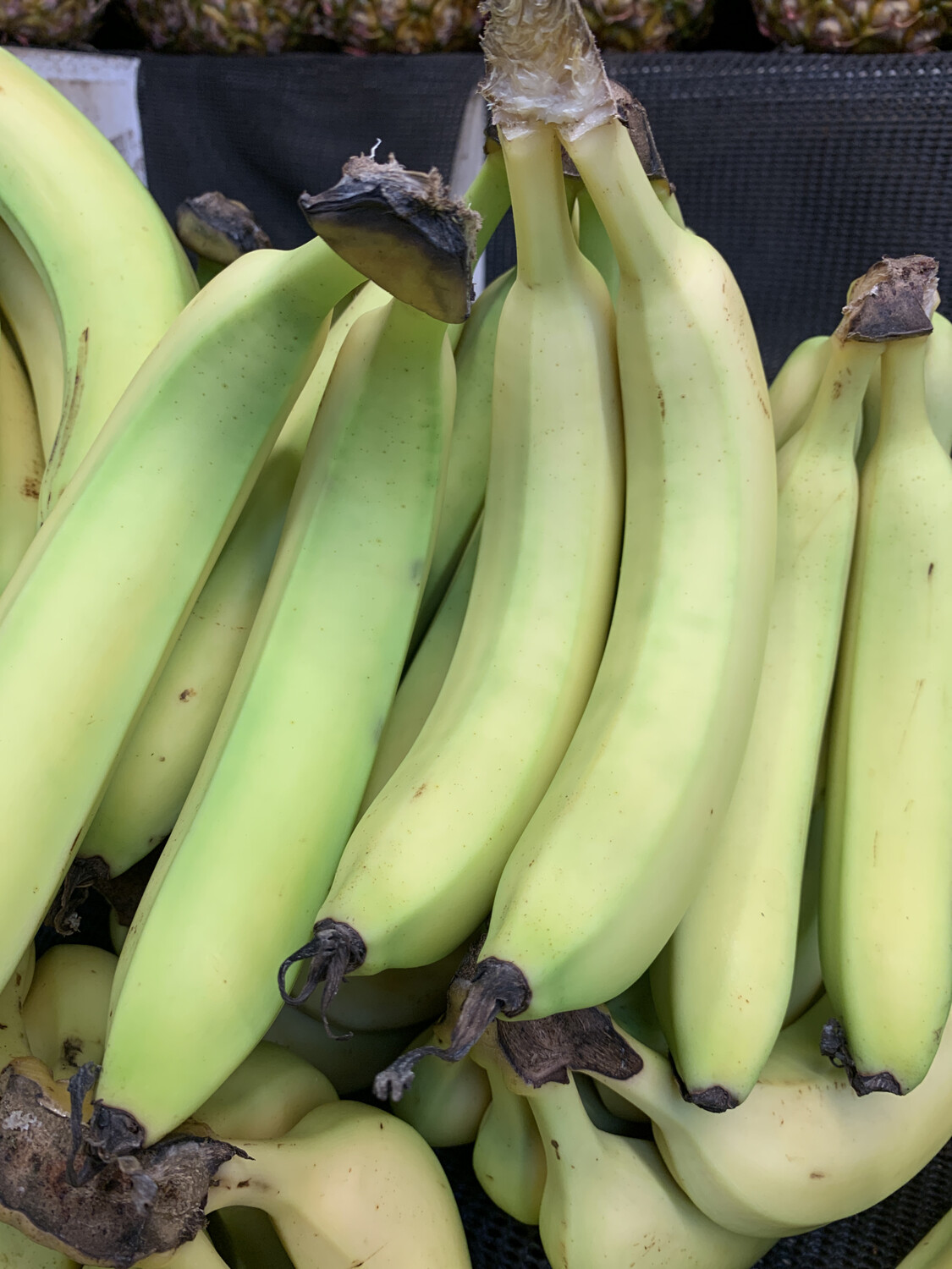 Cavendish Bananas