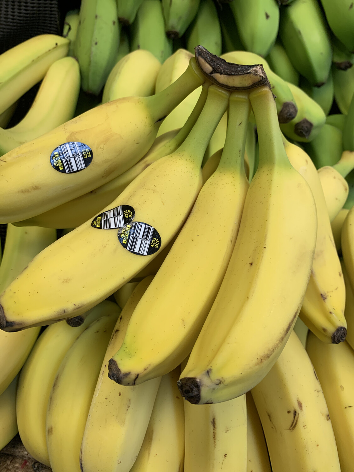 Lady Finger Bananas, Premium