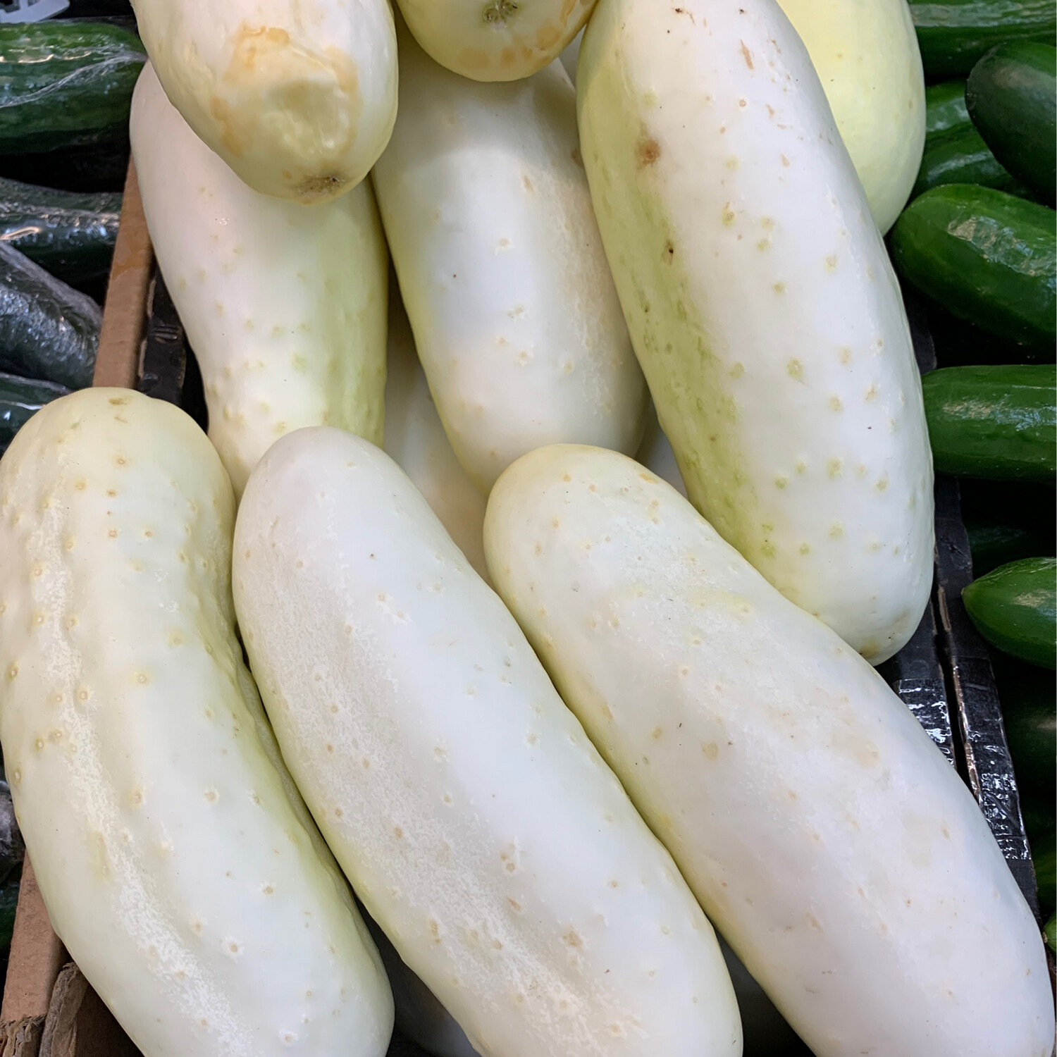 Apple Cucumber, Each