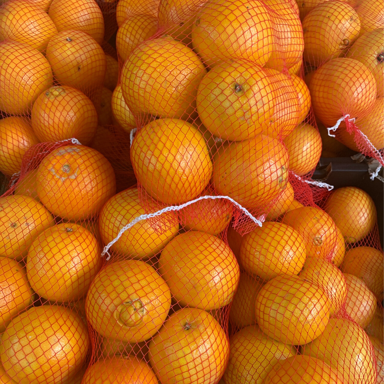 Queensland Navel Oranges 3kg Bag Special queensland-navel-oranges-3kg-bag-special