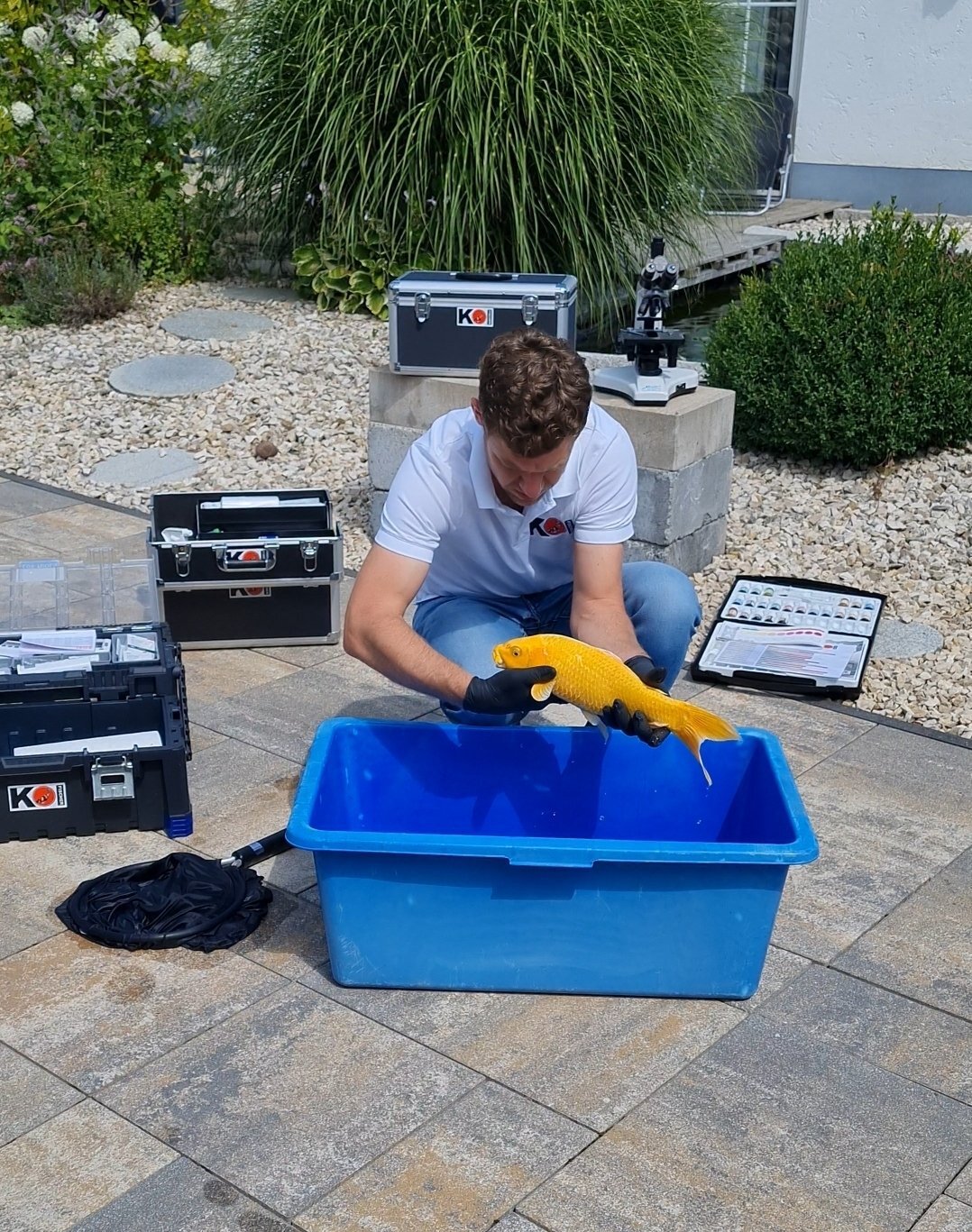 Parasitenkontrolle/Wasseranalytik