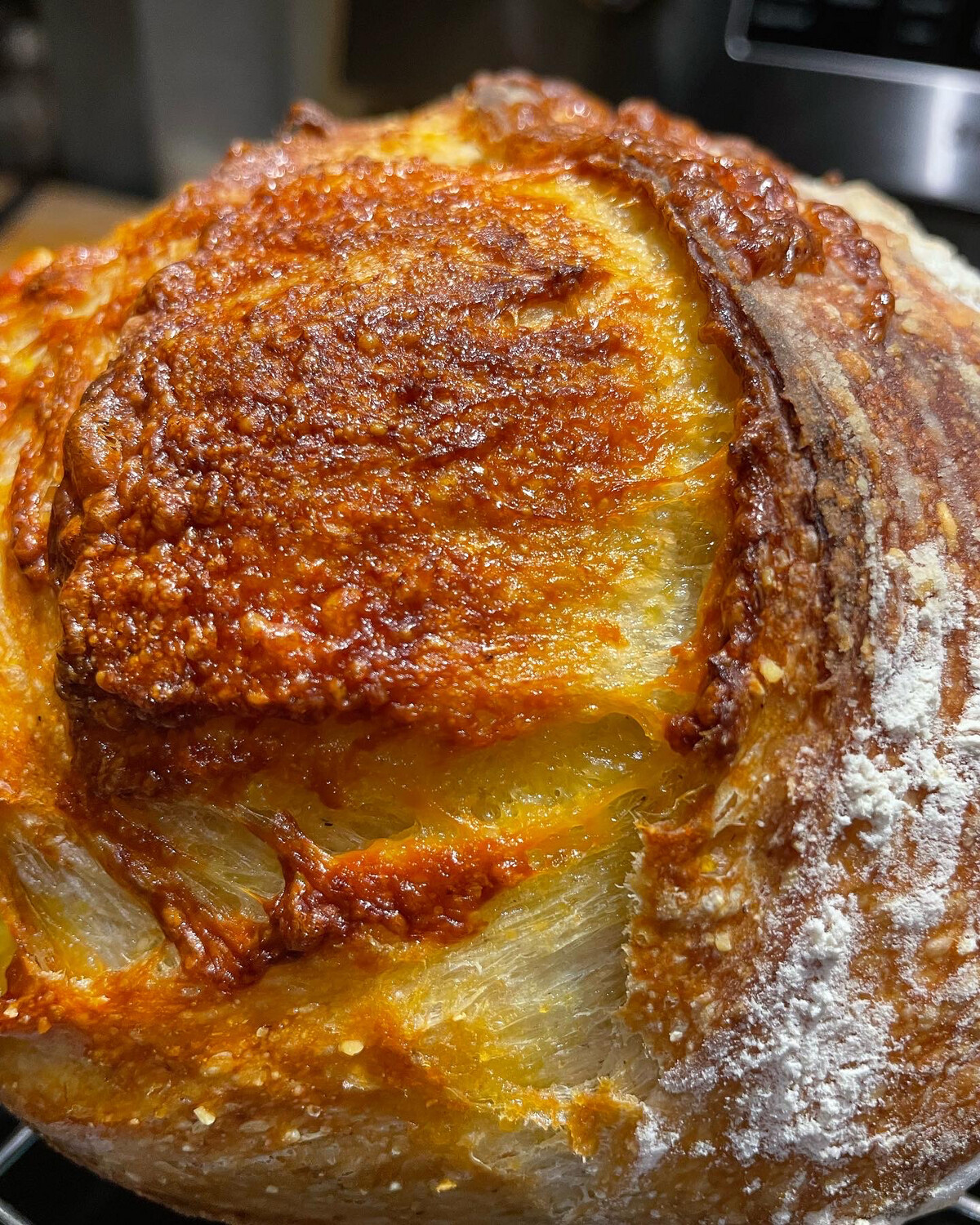 Cornmeal Cheddar Sourdough