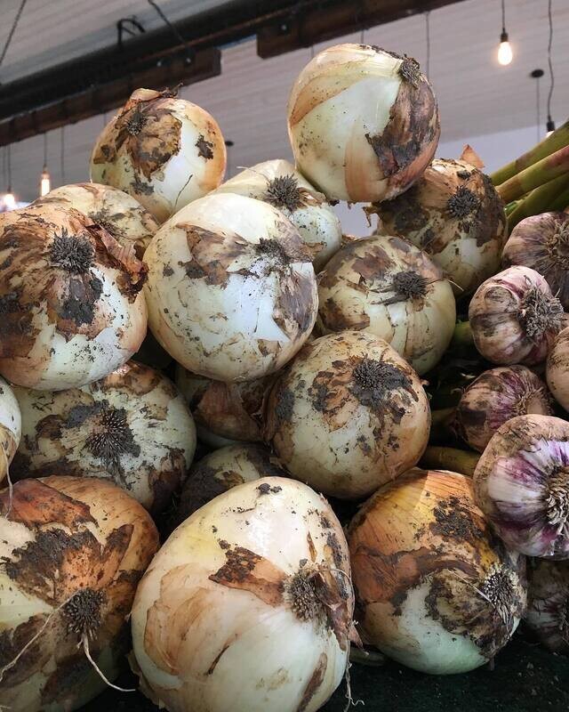 Onions - Walla Walla