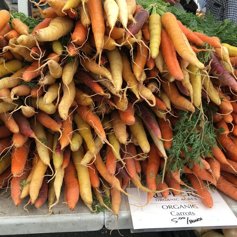 Carrots - Rainbow [Bunch]